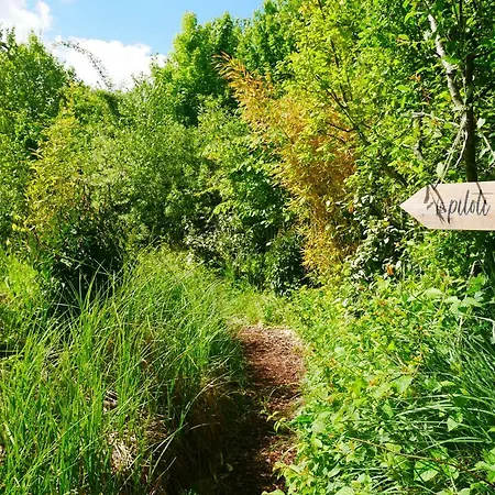 Le Piloti Saint-Quentin-en-Tourmont