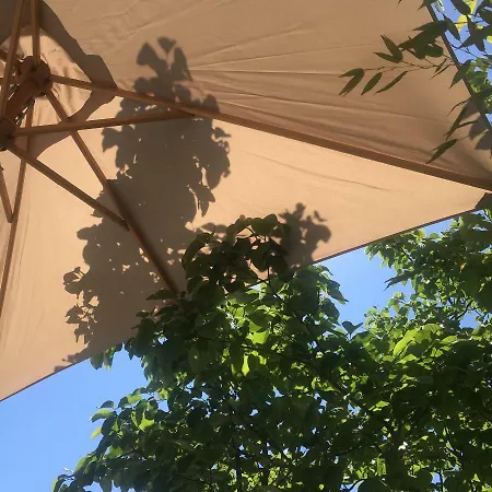 Le Piloti