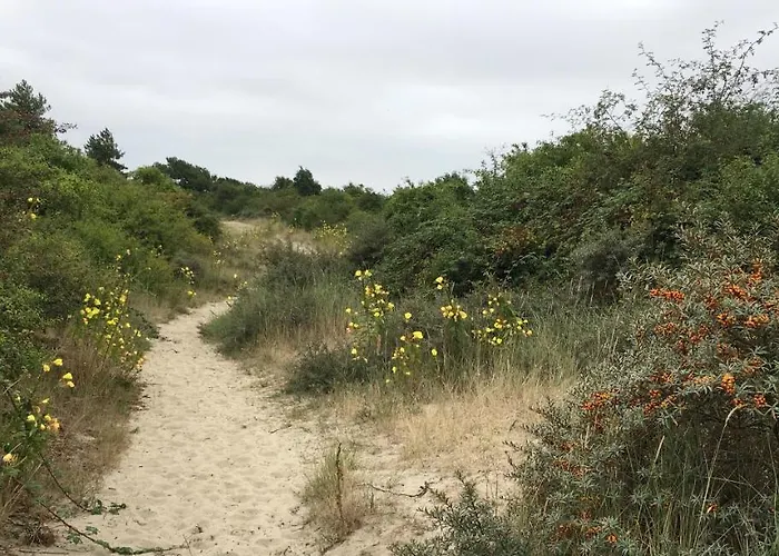 Bed & Breakfast Le Piloti Saint-Quentin-en-Tourmont