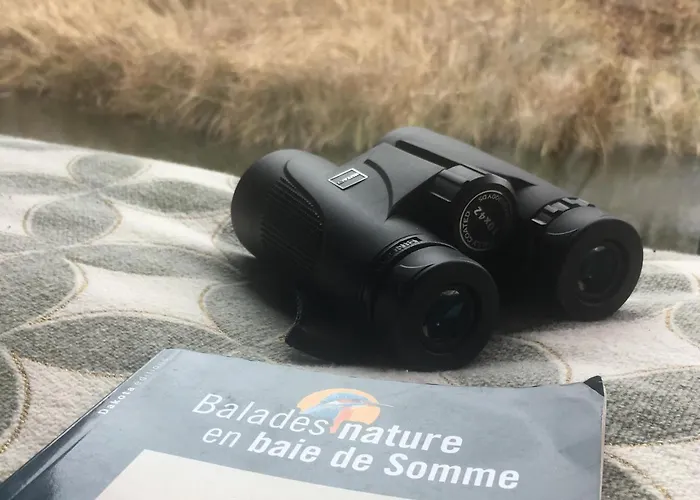 Le Piloti * Saint-Quentin-en-Tourmont